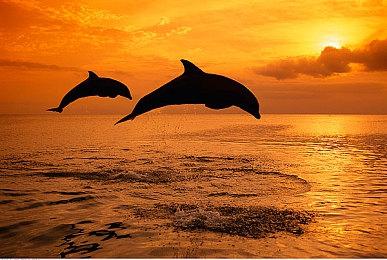 澳洲任天堂《塞尔达传说：王国之泪》新真人广告 下班后的片刻宁静