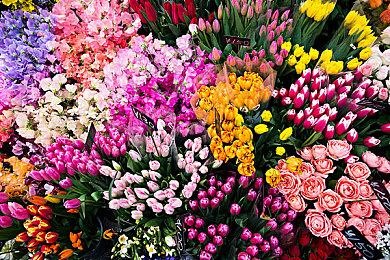 动作冒险游戏《Mentari》Steam页面开放 发售日待定