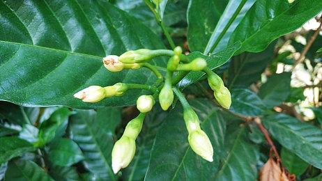 中式怪核恐怖悬疑解谜游戏《杀青》Steam页面上线 发售日待定