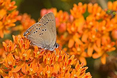 心理恐怖游戏《钟声十响》上线Steam平台 2024年8月推出